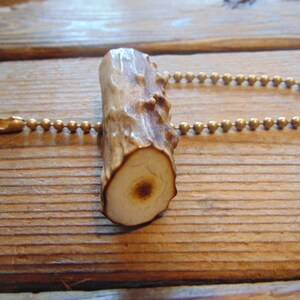 Genuine Deer Antler Fan Pull With Brass Ball Chain - Antler Fan Pull - Antler Decor - Antler Accessories - Antler Lamp Pull - Deer Antler
