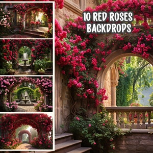 Fundos de jardim de rosas vermelhas para casamento, doce 16, tela verde, maternidade, fotografia, edição de vídeo | PNG HD 4K | Cenário JPG 3:2