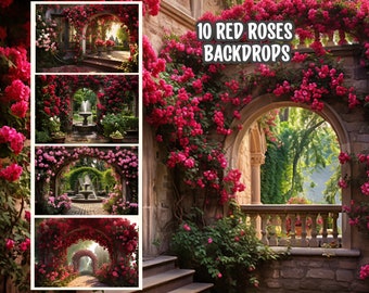Red Rose Garden Backgrounds for Wedding, Sweet 16, Green Screen, Maternity, Photography, Video Editing | FullHD 4K PNG | 3:2 JPG Backdrop