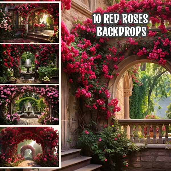 Red Rose Garden Backgrounds for Wedding, Sweet 16, Green Screen, Maternity, Photography, Video Editing | FullHD 4K PNG | 3:2 JPG Backdrop