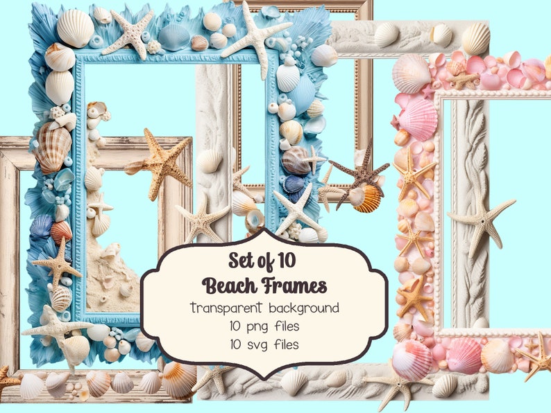 Beach Frames Clipart, Shells, Wood Border (SVG, PNG) - Etsy