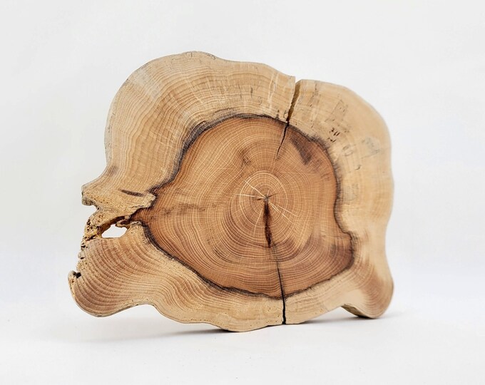 Yew Wood Slabs Yew Tree Slices Diy Crafts Wood Large Yew Etsy