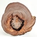 see more listings in the Wood Round Slabs section