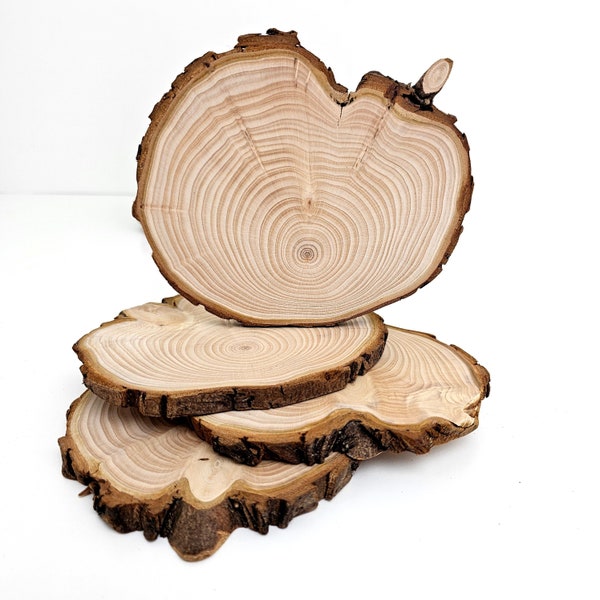 Cypress Tree Trunk Slices, End Grain Wood Slabs, Natural Live Edge Wood Slices With Bark, 4pcs