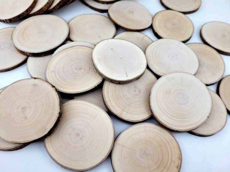 Natural Willow Tree Wood Slices for Crafts, Unfinished Tree Cookies, DIY Ornaments, Woodworking, Pack of 12 image 4