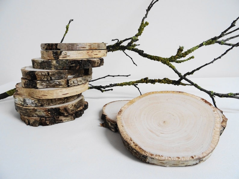 Birch wood rounds