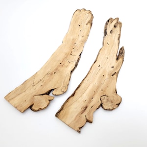 Live Edge Altholz Bretter - Wurzelholz Bretter für Kunsthandwerk Epoxidharz Holzbearbeitung - 2Stk