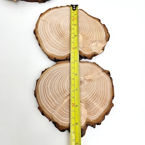 Cypress Tree Trunk Slices, End Grain Wood Slabs, Natural Live Edge Wood Slices With Bark, 4pcs image 8