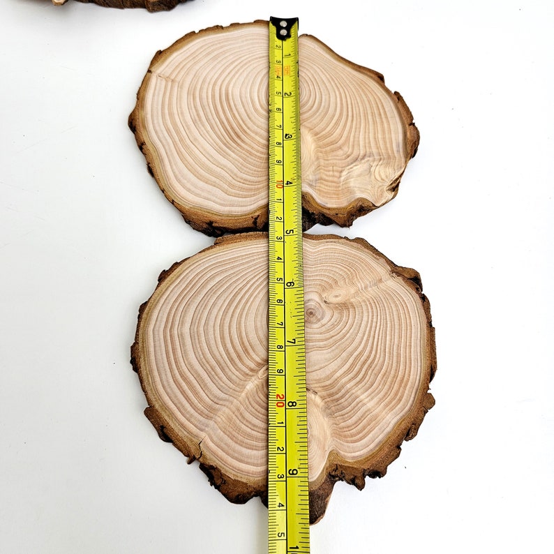 Cypress Tree Trunk Slices, End Grain Wood Slabs, Natural Live Edge Wood Slices With Bark, 4pcs image 8