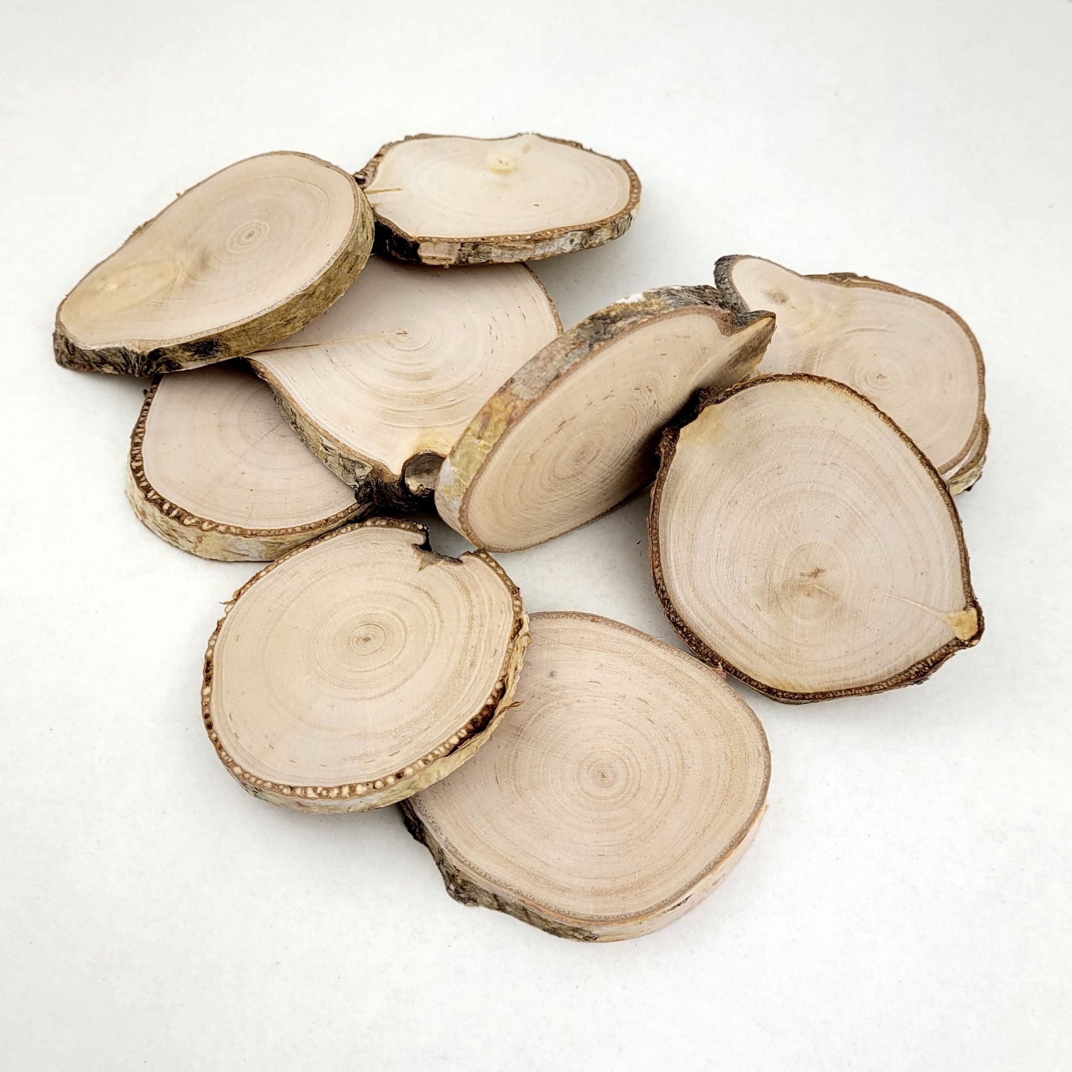 Birch Wood Tree Slices, Natural Wood Rounds for Crafts Ornaments