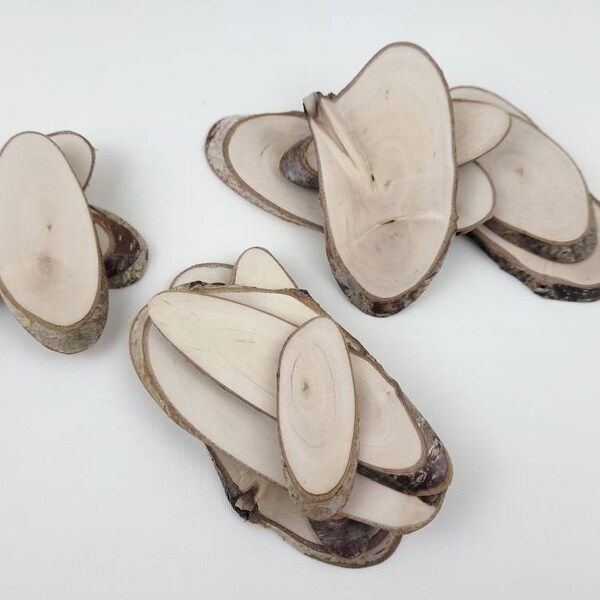 Oval Birch Tree Slices - Blank Wood Slices - Small Oval Blank Wood Slices - 15pcs
