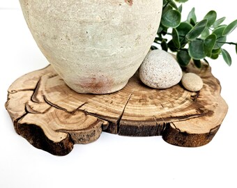 Wood Round Slab, Natural Beech Tree Slice, Wood Coaster, Centerpiece, Charger, Holiday Table Decor