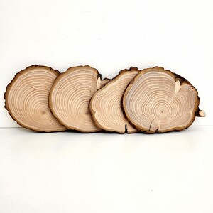 Cypress Tree Trunk Slices, End Grain Wood Slabs, Natural Live Edge Wood Slices With Bark, 4pcs image 4