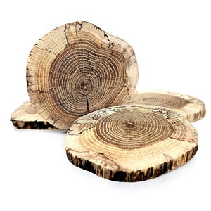 Natural Reclaimed Oak Wood Slices for DIY Woodwork Craft, Coasters, Epoxy Resin Projects, 4pcs