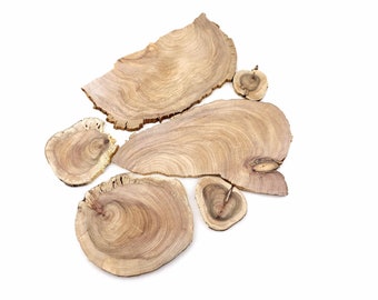 Thin cut wood slices in various sizes and shapes, A set of 6 pieces