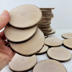 Natural Willow Tree Wood Slices for Crafts, Unfinished Tree Cookies, DIY Ornaments, Woodworking, Pack of 12 image 6