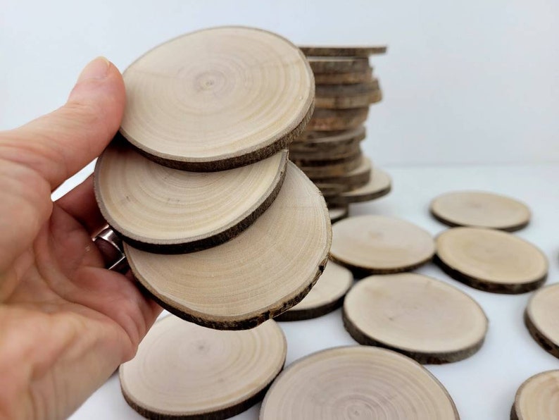 Natural Willow Tree Wood Slices for Crafts, Unfinished Tree Cookies, DIY Ornaments, Woodworking, Pack of 12 image 6
