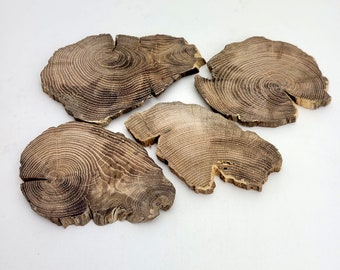 Reclaimed Oak Wood Slices in Various Shapes, Wood for Epoxy Resin Projects, 4pcs