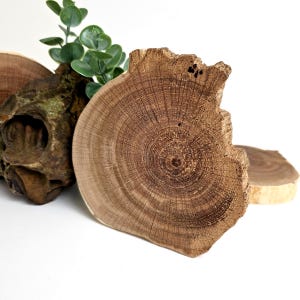 Rodaja de madera de roble recuperada: decoración y manualidades estilo cottagecore (12,7 cm)