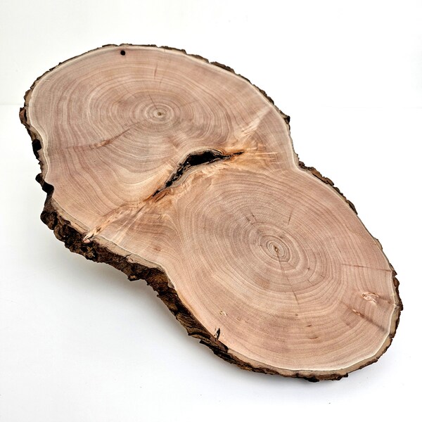 Large Willow Wood Slice, Natural Bark Wood Slab 34cm, Double Core Oval Shape, Centerpiece, Charger, Table Decor