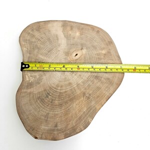 Rustic Wood Round Slab Riser, Raw Birch Slice Centerpiece 9, Charger Plate image 8