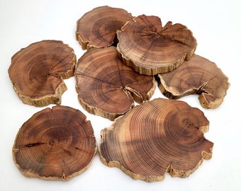 Reclaimed Yew Tree Slices, Natural Yew Wood Rounds 7pcs