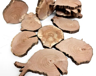 Reclaimed Willow Tree Slices, Raw Rustic Wood Slices, Epoxy Resin Project Wood, 7 pcs