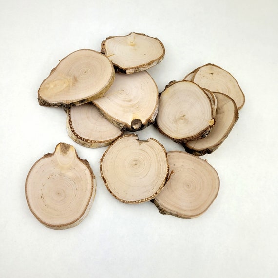 Birch Wood Tree Slices, Natural Wood Rounds for Crafts Ornaments