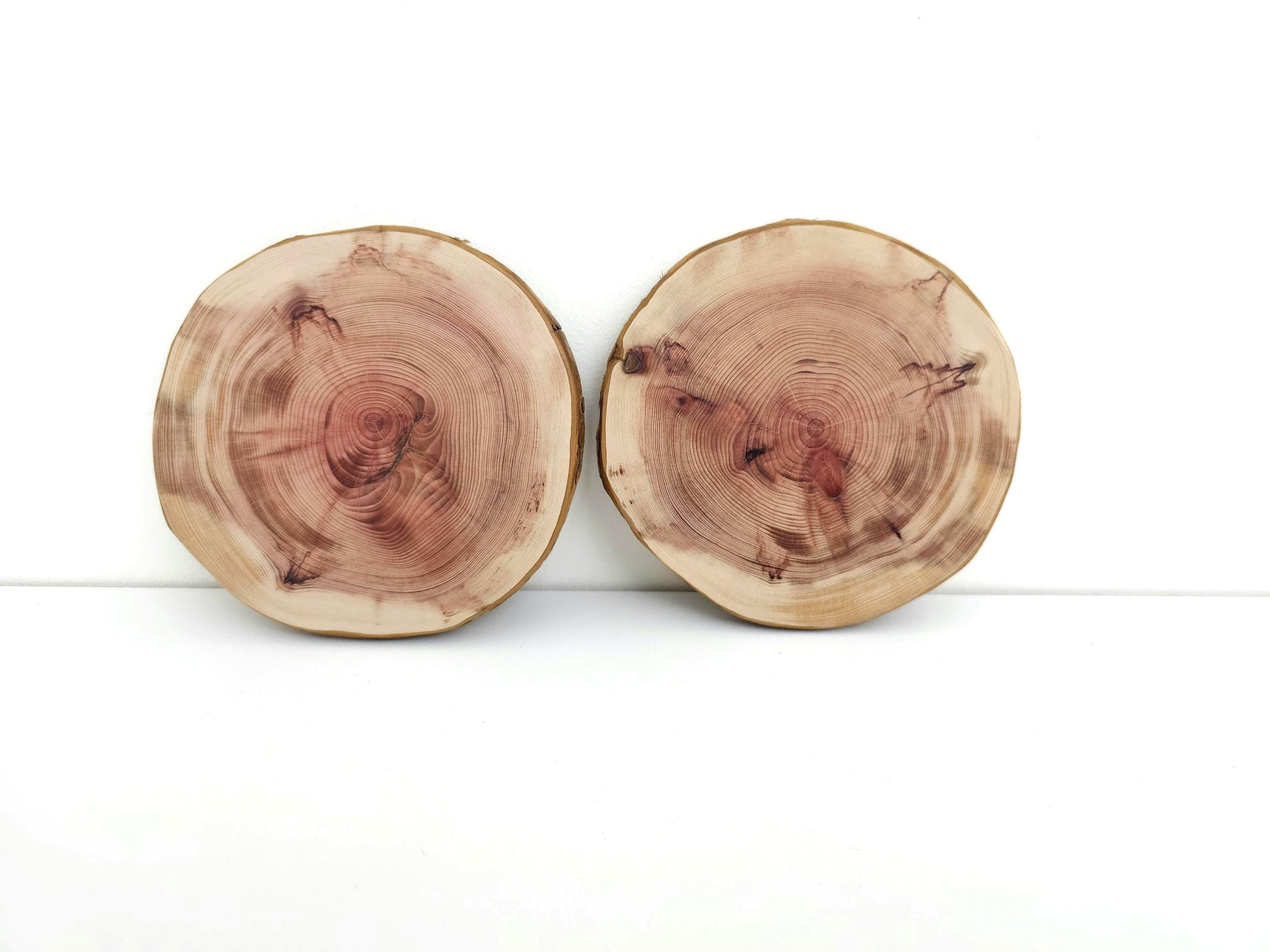 Albero Di Cedro Rosso Alto Con Trama Ampia E Corteccia Immagine Stock - Foto 10