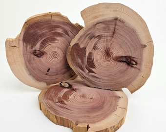 Irregular Odd Shape Reclaimed Cedar Tree Slices Red Cedar Wood -3pcs