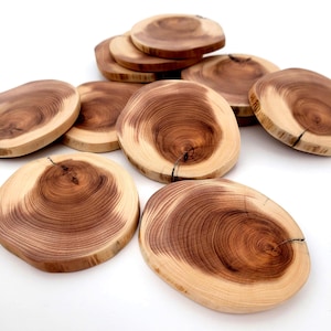 Fatias de madeira de teixo em formato de biscoito, 6-8 cm, para artesanato em madeira (faça você mesmo), pacote com 6 peças.