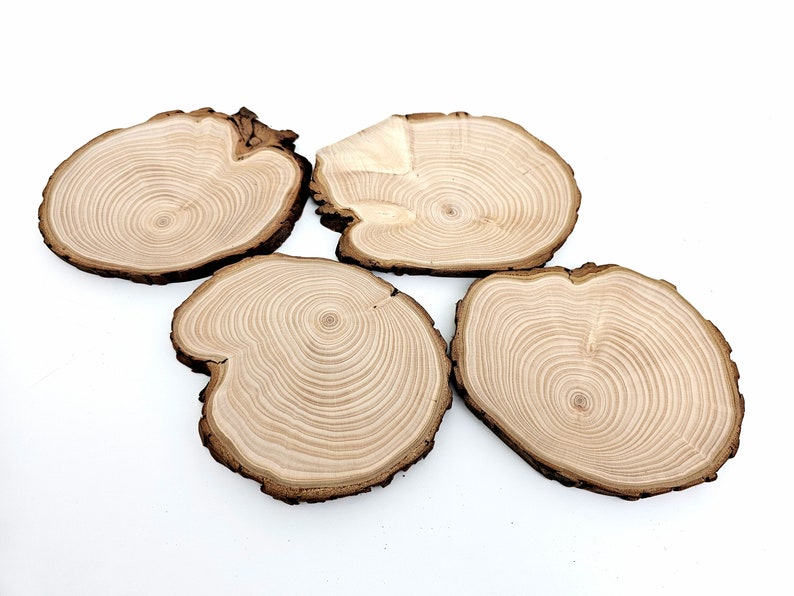 A set of 4organic natural cypress wood round coasters with bark.