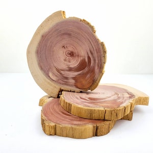 Set of 10 4 Inch 5 Inch Oak Slices Oak Oak Circles Wooden Slices Tree  Slices Wood Slices Rustic Wood Pieces Wooden Slices Natural Wood 