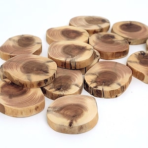 May include: A selection of small, circular wooden coasters, each displaying a natural wood grain. The coasters are light brown with darker brown centres, revealing the tree's growth rings. The edges are smooth, giving a rustic appearance.
