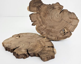 Irregular Shaped Oak Wood Slabs, Epoxy Resin Crafts, Coasters, 2pcs
