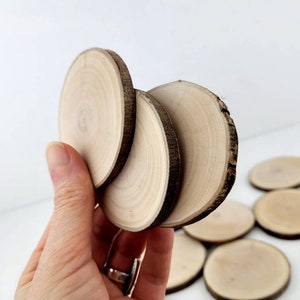 Natural Willow Tree Wood Slices for Crafts, Unfinished Tree Cookies, DIY Ornaments, Woodworking, Pack of 12 image 8