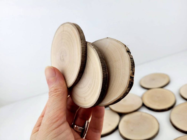 Natural Willow Tree Wood Slices for Crafts, Unfinished Tree Cookies, DIY Ornaments, Woodworking, Pack of 12 image 8