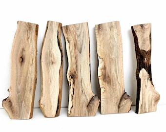 Set of mini planks tree branch wood - Diy wood art, resin woodworking, spalted beech wood, mini raw wood boards