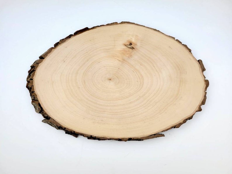 Large Oval Wood Slice Live Edge Oval Alder Wood Slab for Etsy