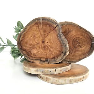 Plakjes taxus, 4 stuks – natuurlijke ronde vorm voor knutselen en doe-het-zelfprojecten