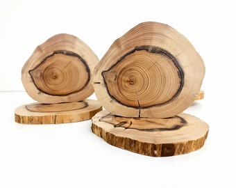 Coaster Size Yew Wood Slices, Natural  Yew Wood Rounds for Crafts Woodworking DIY, 2 pcs