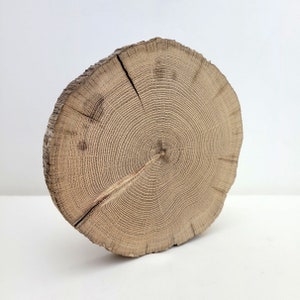 Rustic Wood Rounds -  Reclaimed Oak Wood Slice - Tree Trunk Wood Slab - DIY Resin Project Wood