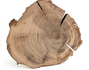 Live Edge Reclaimed Oak Wood Slab - Irregular Shape Large Oak Tree Slice - Exclusive 10" Tree Slice