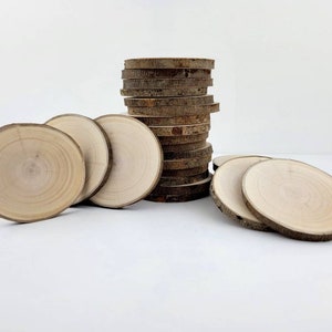 Natural Willow Tree Wood Slices for Crafts, Unfinished Tree Cookies, DIY Ornaments, Woodworking, Pack of 12 image 9