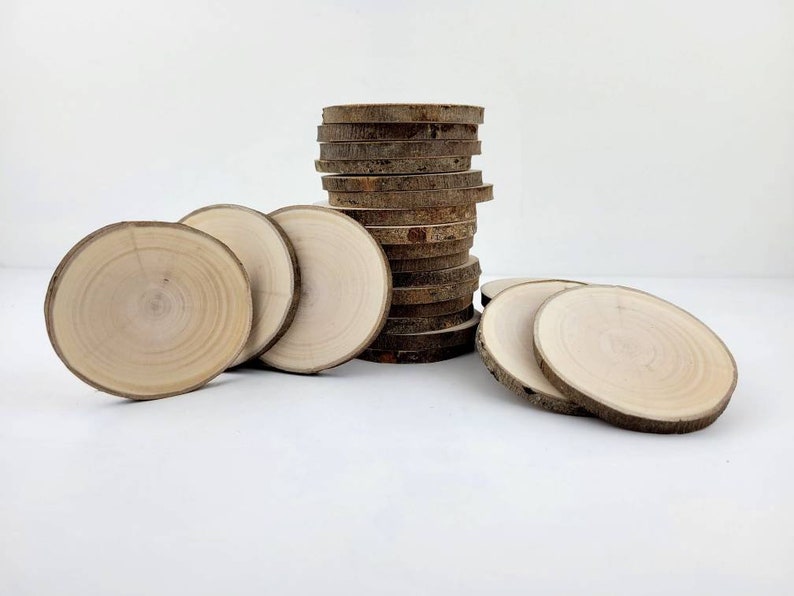 Natural Willow Tree Wood Slices for Crafts, Unfinished Tree Cookies, DIY Ornaments, Woodworking, Pack of 12 image 9