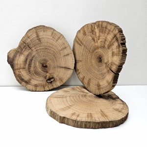 Losa de madera de roble orgánico natural, placa de madera de roble redonda para manualidades o decoración del hogar