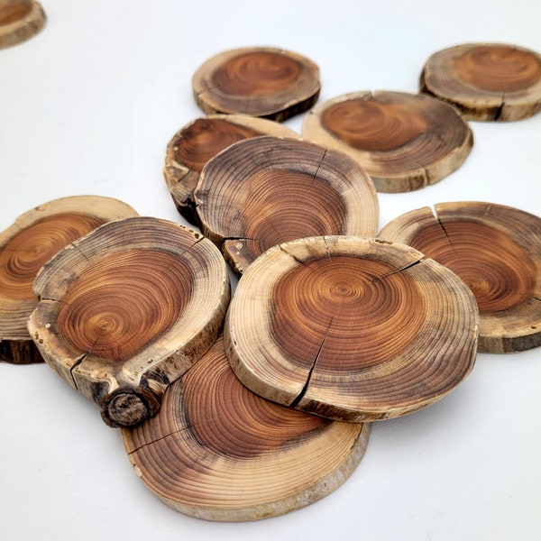 Yew Wood Slices, Tree Cookies, Small Size Yew Tree Slices for DIY Crafts Woodworking, 10pcs