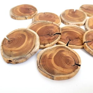 Natuurlijke taxusboomschijfjes 10 stuks, stukken ruw hout glad geschuurd 7 cm