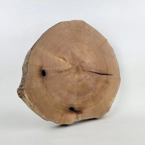 Marai Home Rustic Acacia Wood Slice with Bark Decor Wood