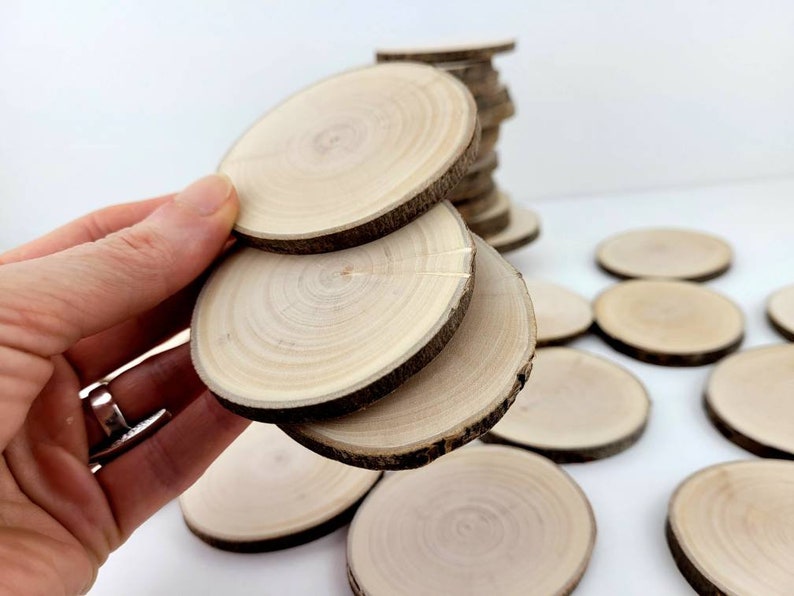 Natural Willow Tree Wood Slices for Crafts, Unfinished Tree Cookies, DIY Ornaments, Woodworking, Pack of 12 image 7